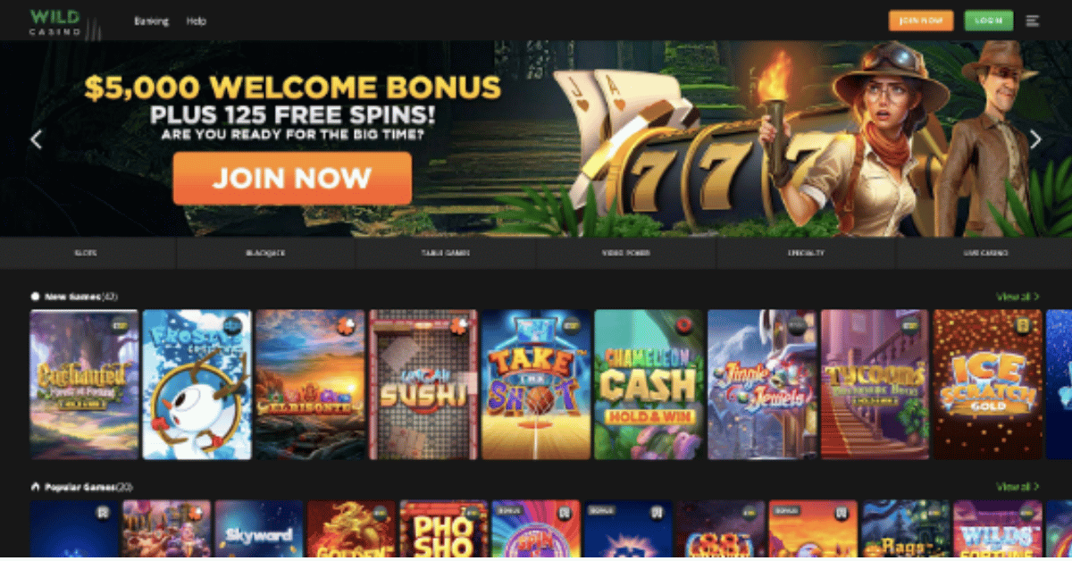 Khám phá casino online sverige với những trò chơi hấp dẫn nhất năm nay
