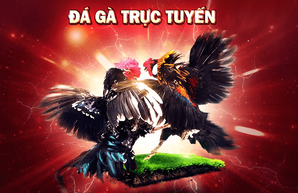 Khám phá cách chơi zingplay tiến lên miền bắc thú vị và chiến thuật hiệu quả