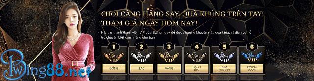 Khám phá các loại chứng chỉ phổ biến và lợi ích khi sở hữu