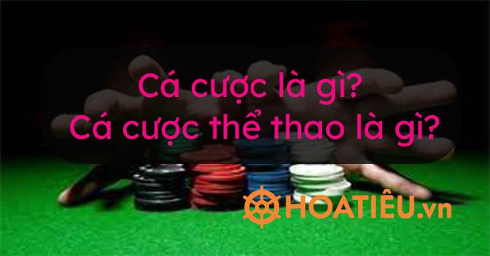 Khám phá cơ hội chiến thắng lớn cùng Pot of Fortune hôm nay